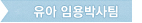 유아임용박사팀