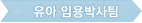 유아임용박사팀